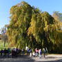 Herbstwanderung HH MST