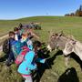 Herbstwanderung HH UST